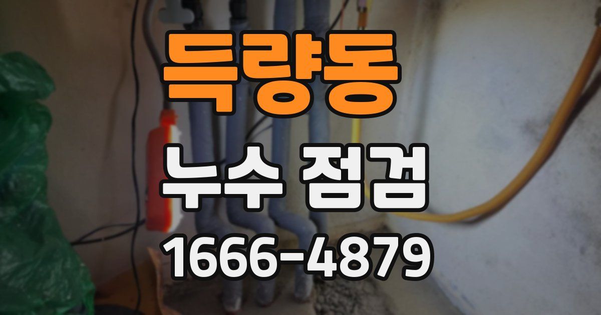 득량동 누수 점검