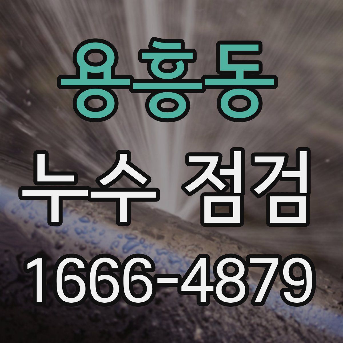 용흥동 누수 점검