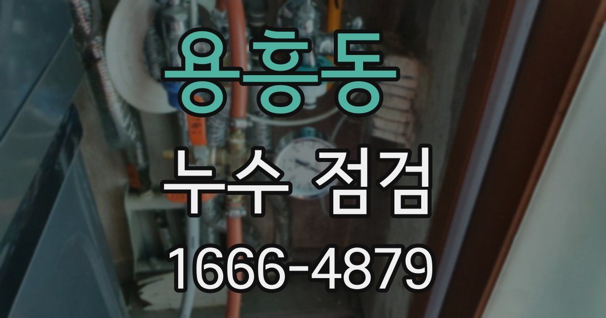 용흥동 누수 점검