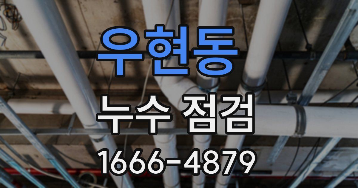 우현동 누수 점검
