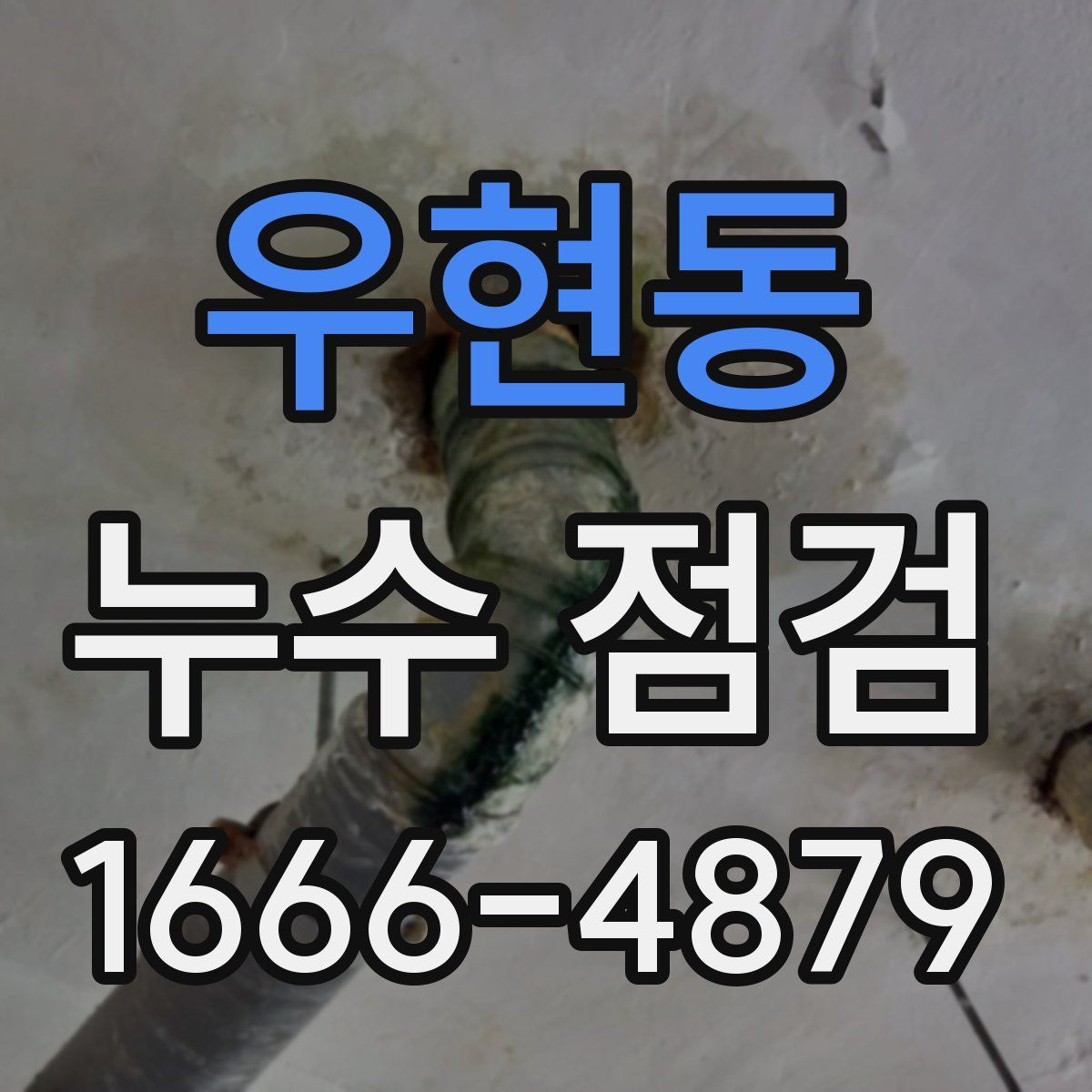 우현동 누수 점검