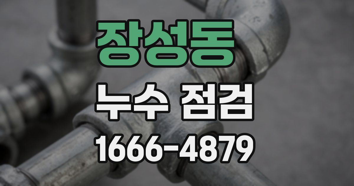 장성동 누수 점검