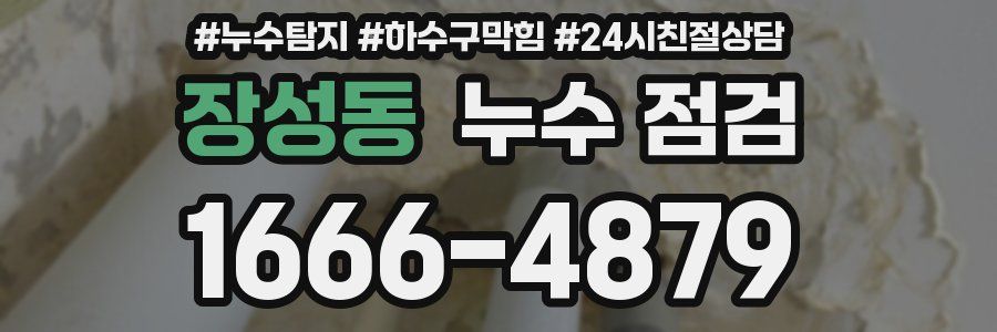 장성동 누수 점검