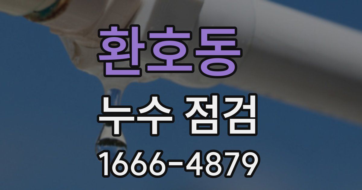 환호동 누수 점검