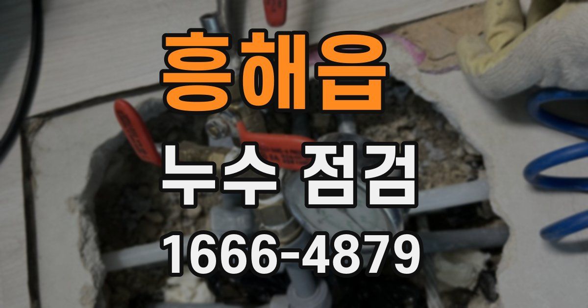 흥해읍 누수 점검