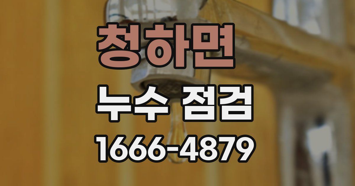 청하면 누수 점검
