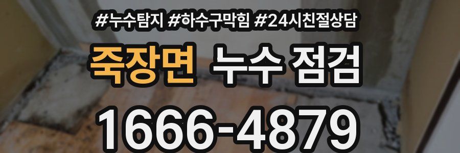 죽장면 누수 점검
