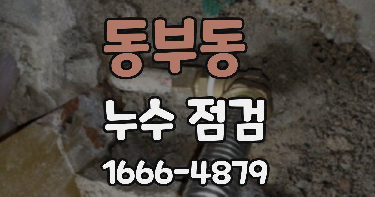 동부동 누수 점검