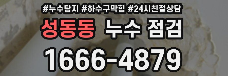 성동동 누수 점검
