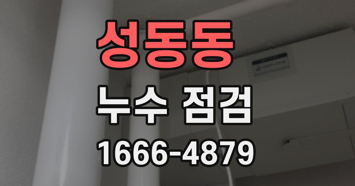 성동동 누수 점검
