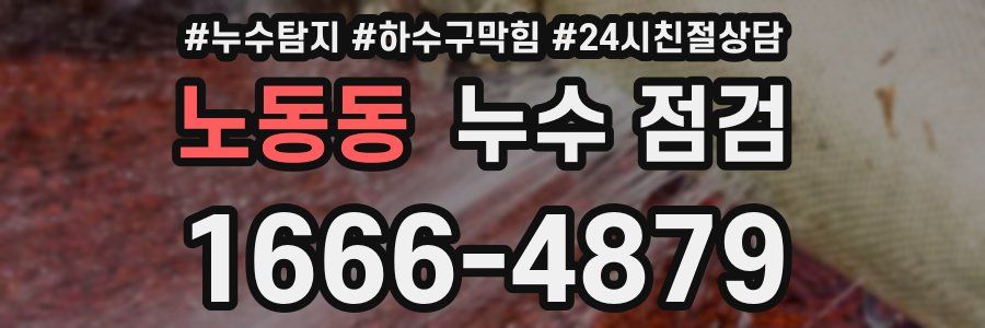 노동동 누수 점검