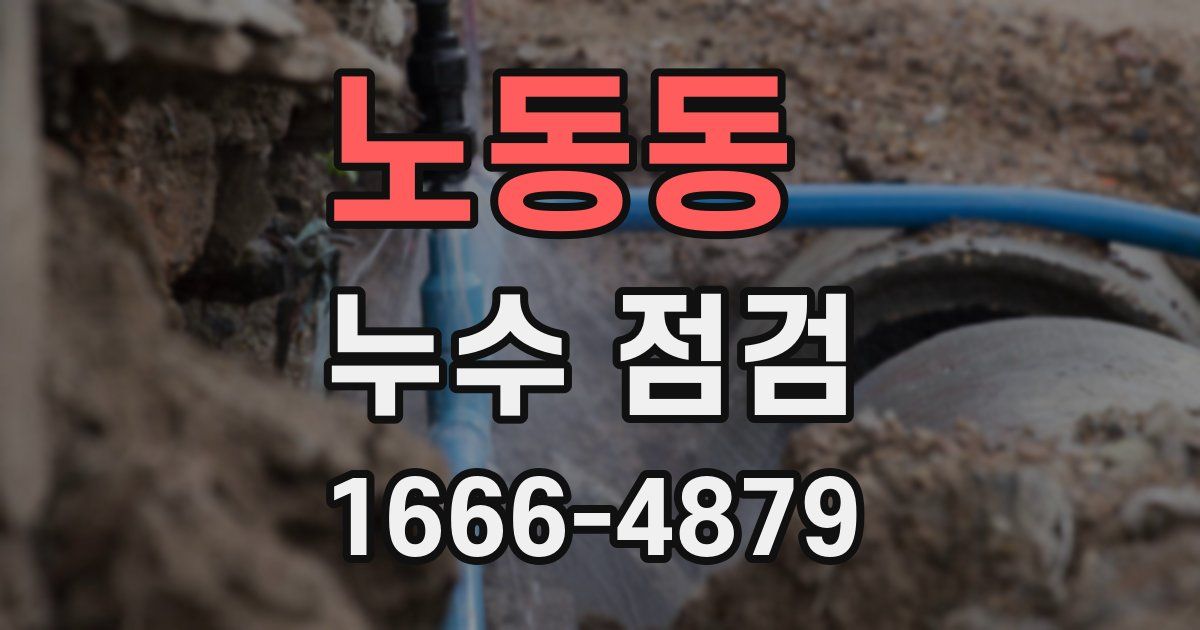 노동동 누수 점검