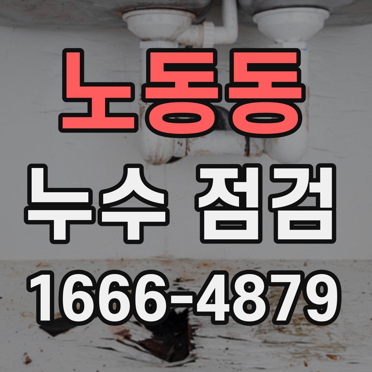 노동동 누수 점검