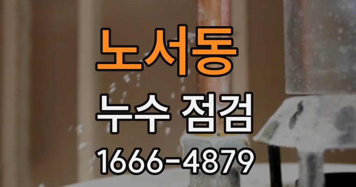 노서동 누수 점검