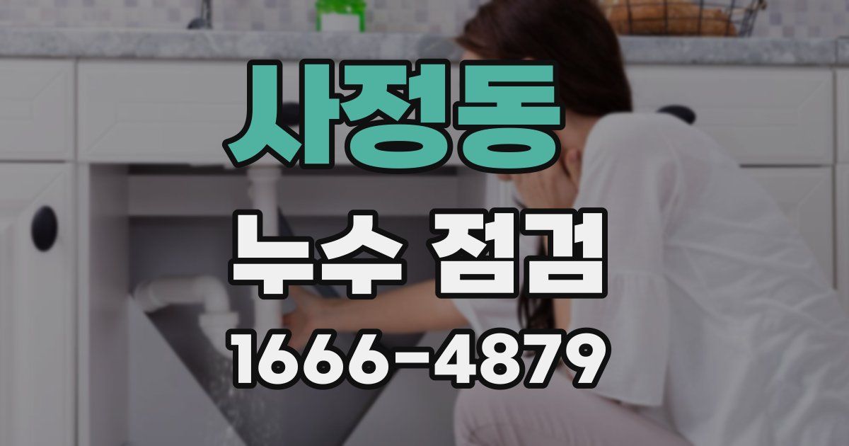 사정동 누수 점검