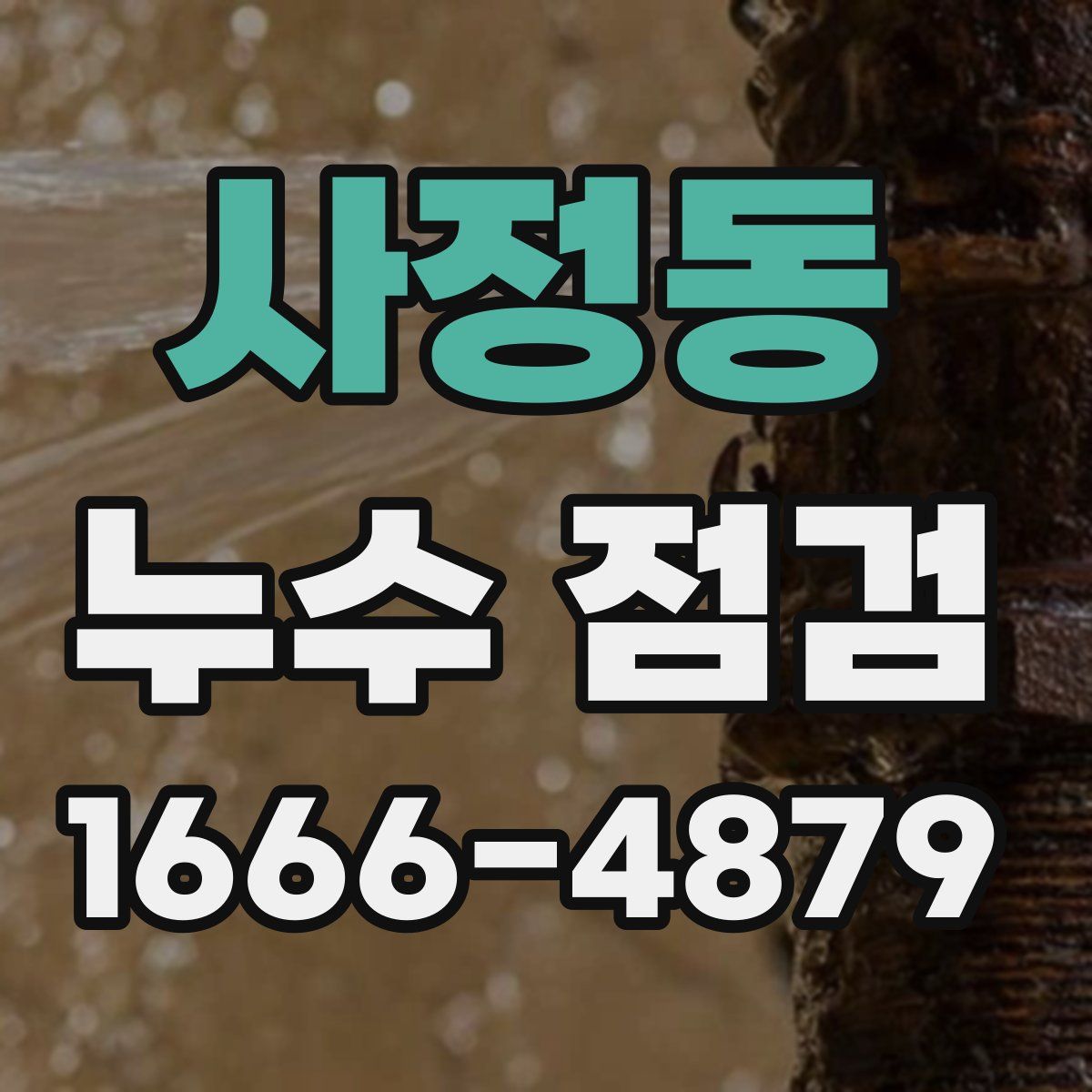 사정동 누수 점검