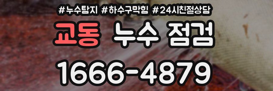 교동 누수 점검