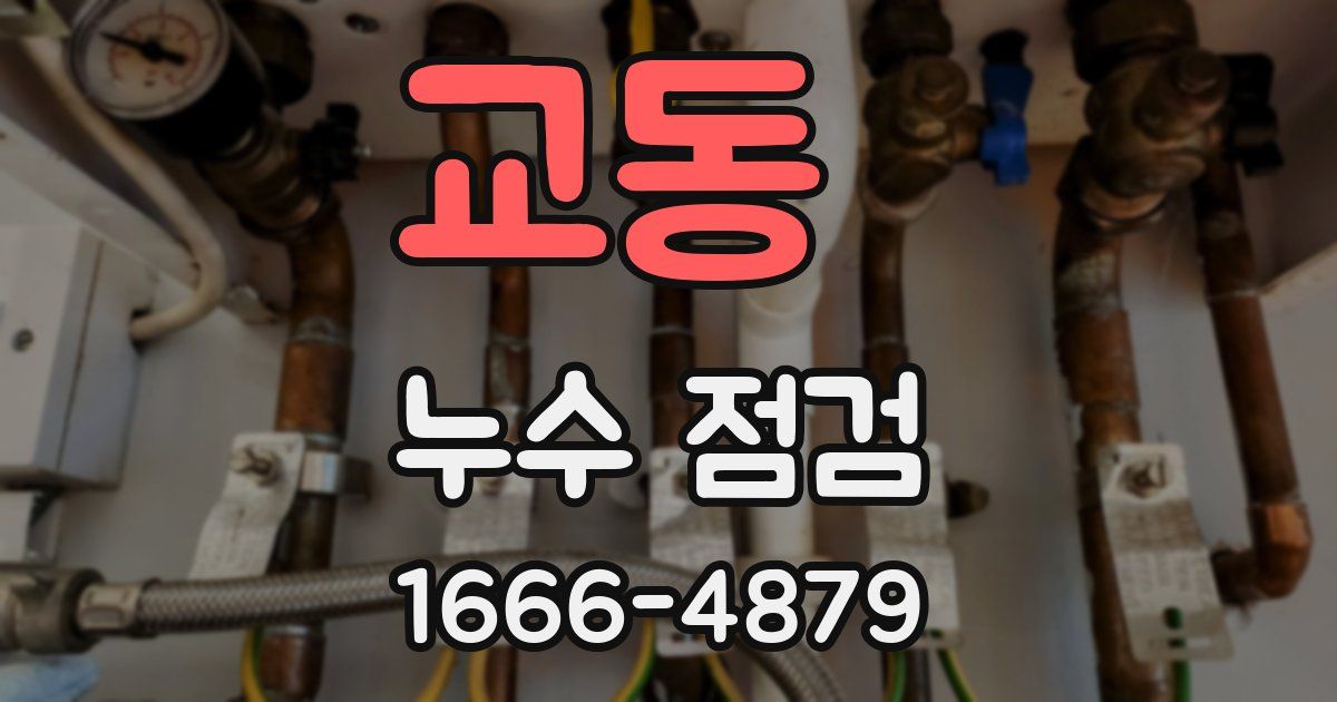교동 누수 점검