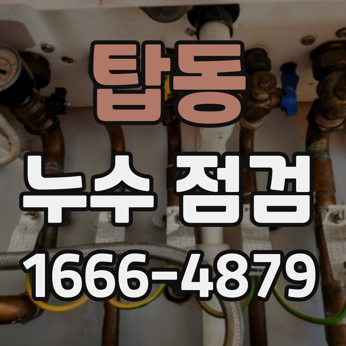 탑동 누수 점검