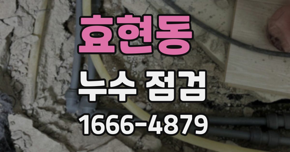 효현동 누수 점검