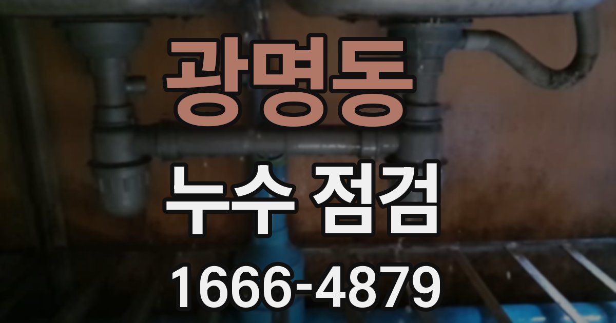광명동 누수 점검