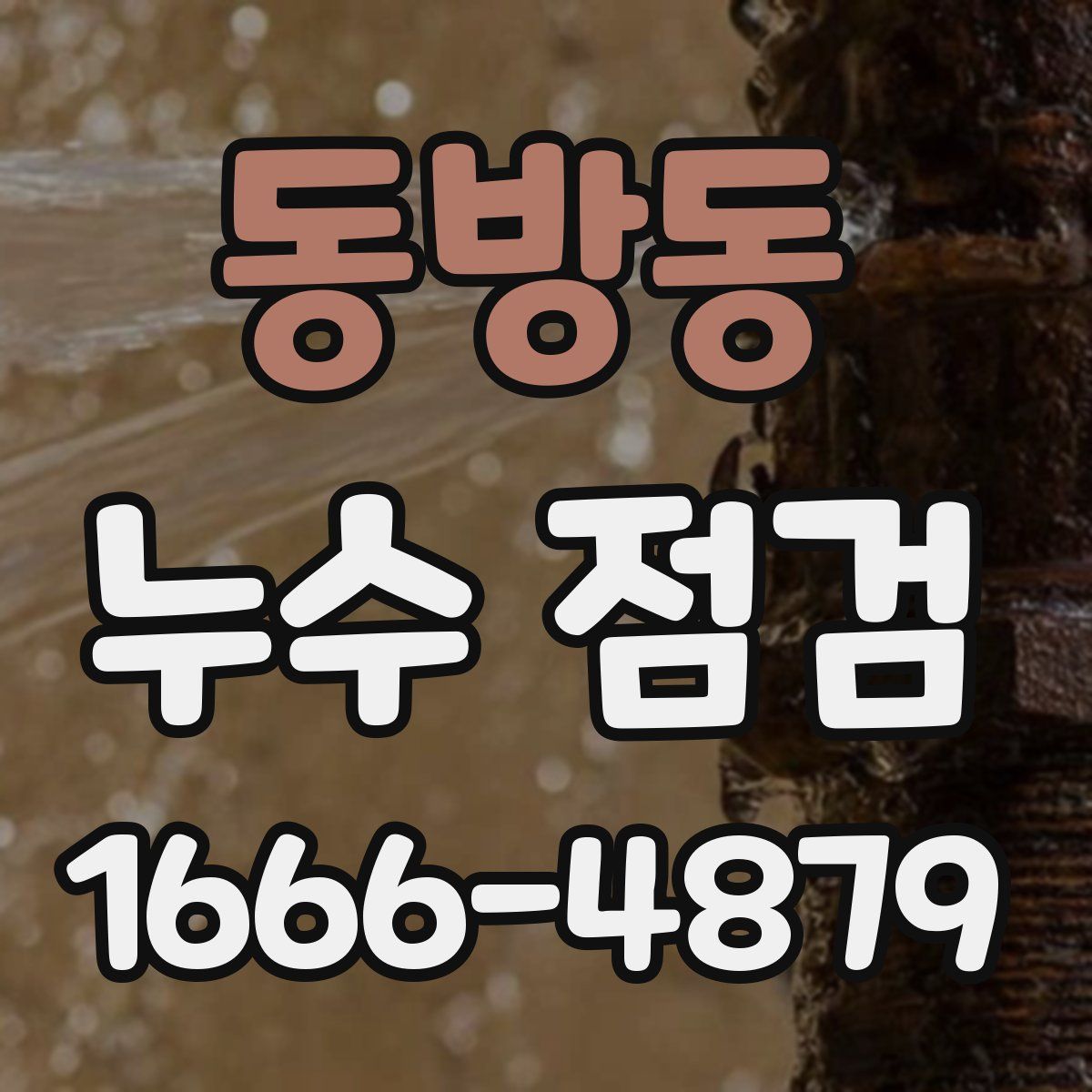 동방동 누수 점검