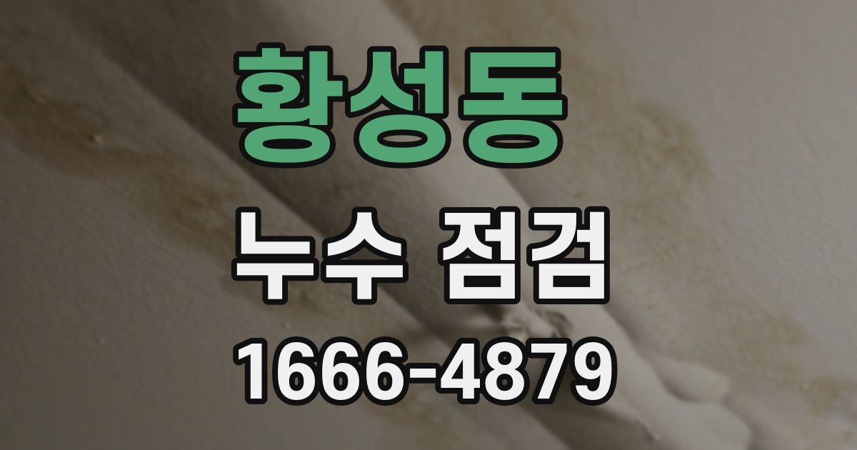 황성동 누수 점검