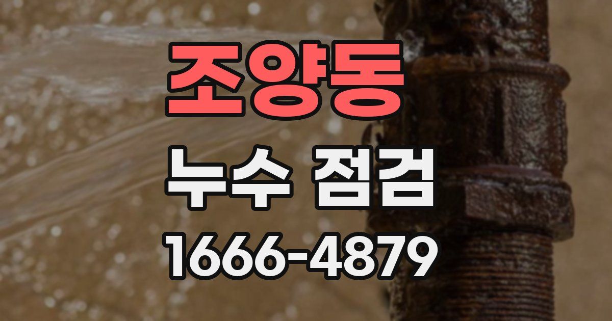조양동 누수 점검