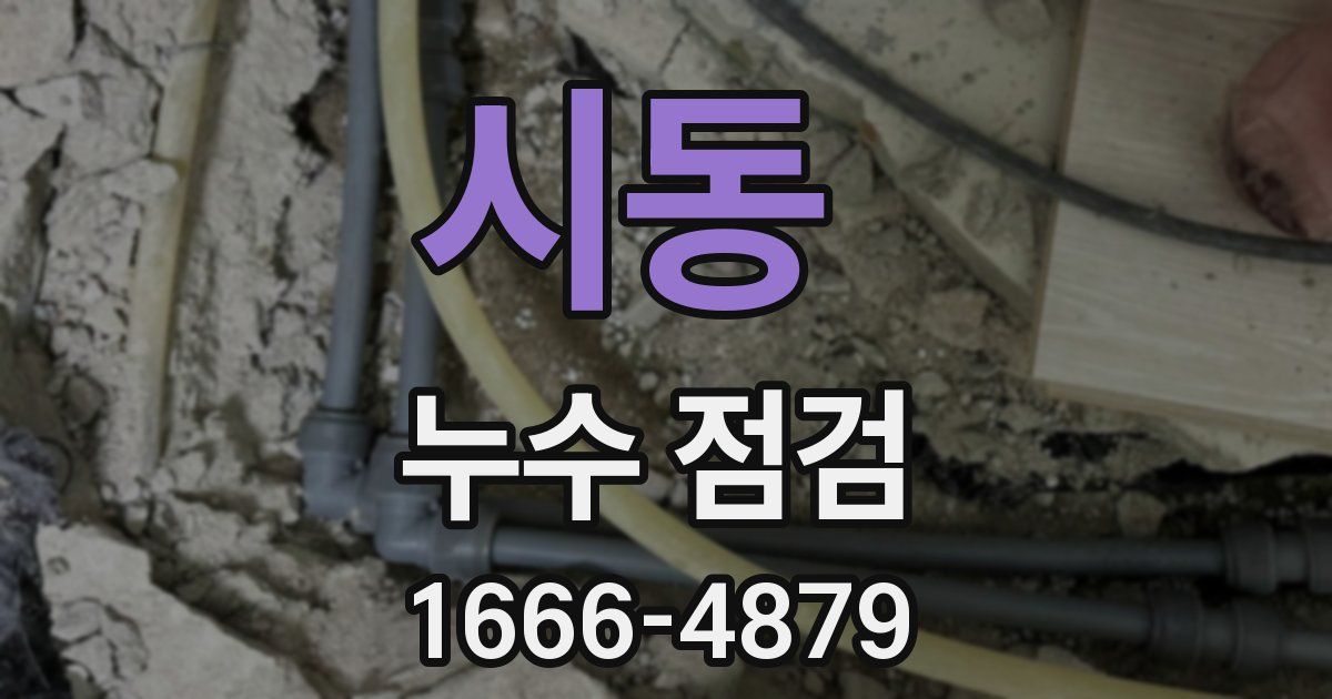 시동 누수 점검