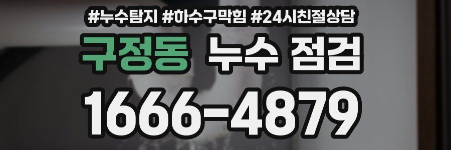 구정동 누수 점검
