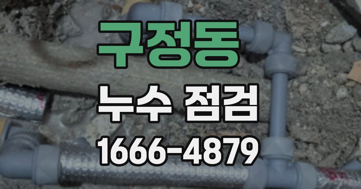구정동 누수 점검