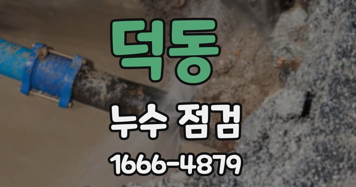 덕동 누수 점검