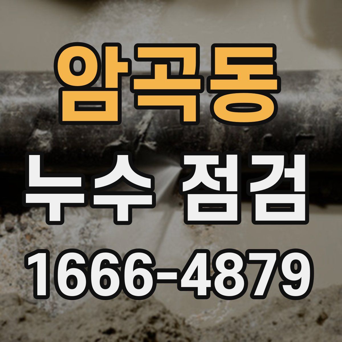 암곡동 누수 점검