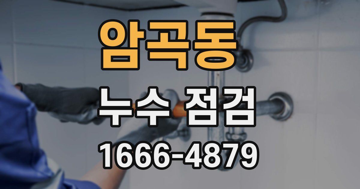 암곡동 누수 점검