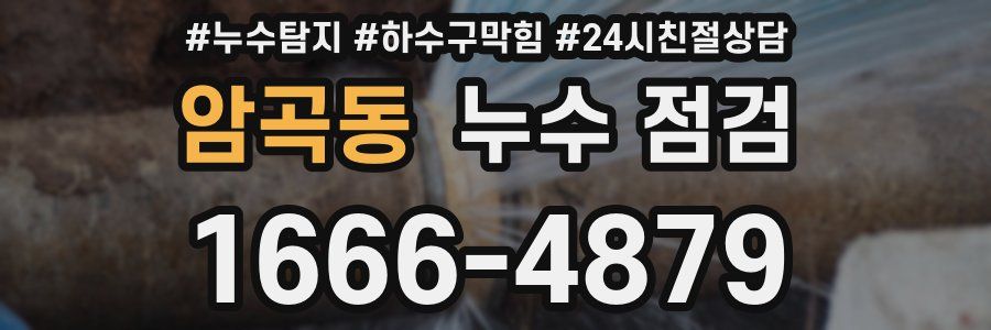 암곡동 누수 점검