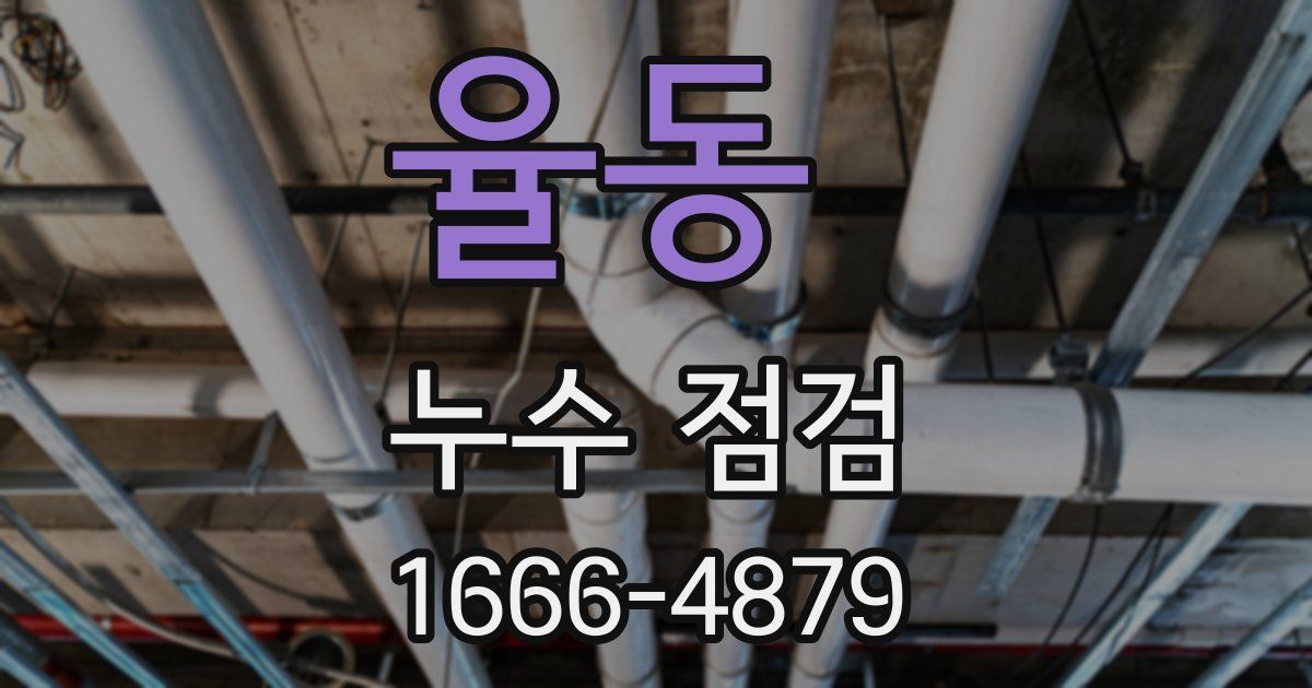 율동 누수 점검