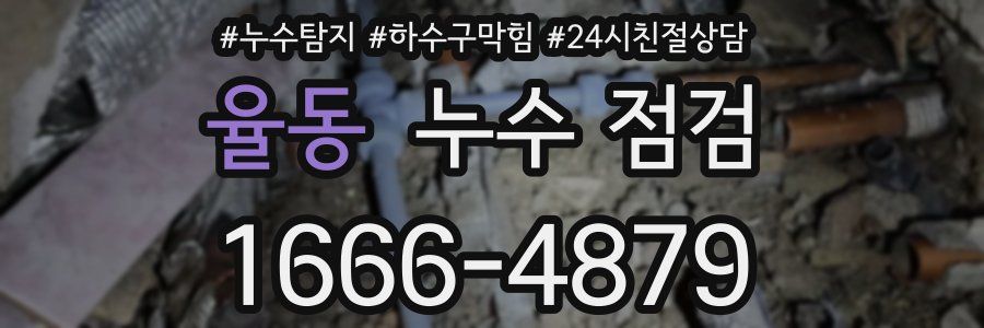 율동 누수 점검