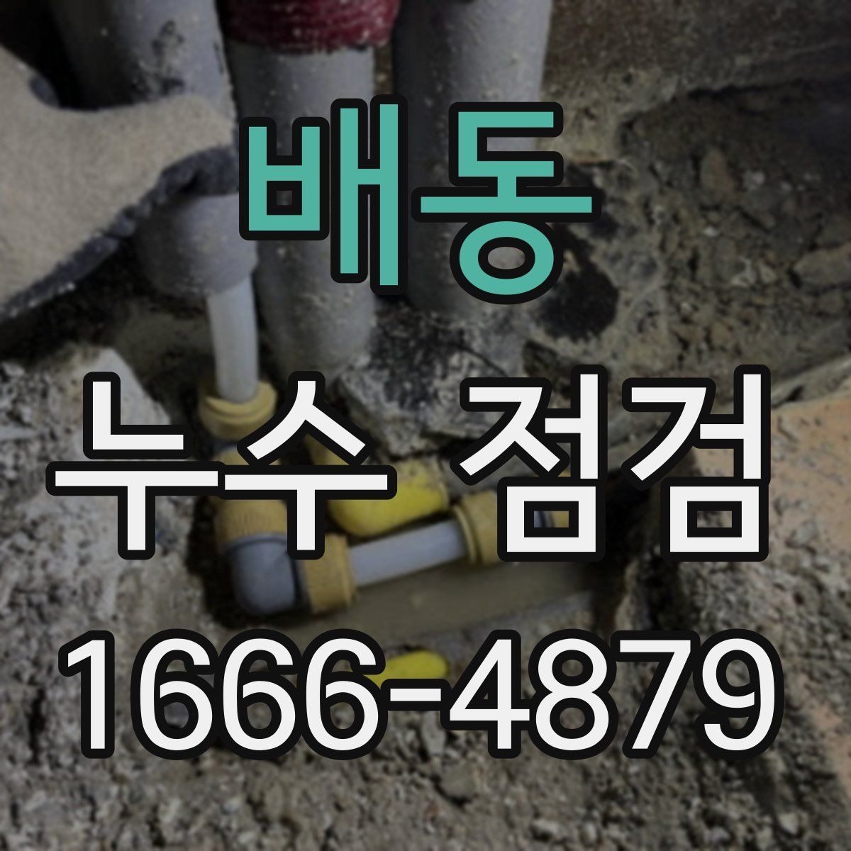 배동 누수 점검