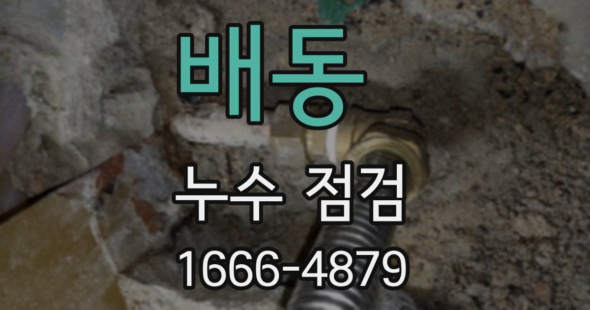 배동 누수 점검