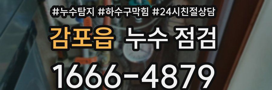감포읍 누수 점검