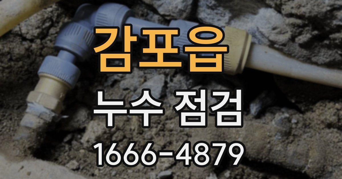 감포읍 누수 점검