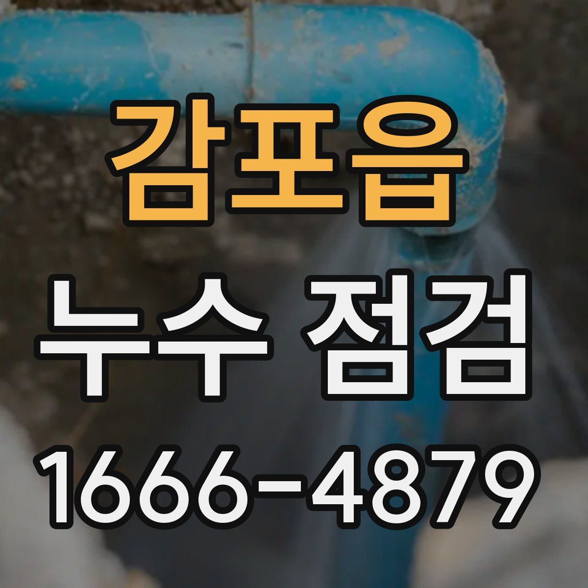 감포읍 누수 점검