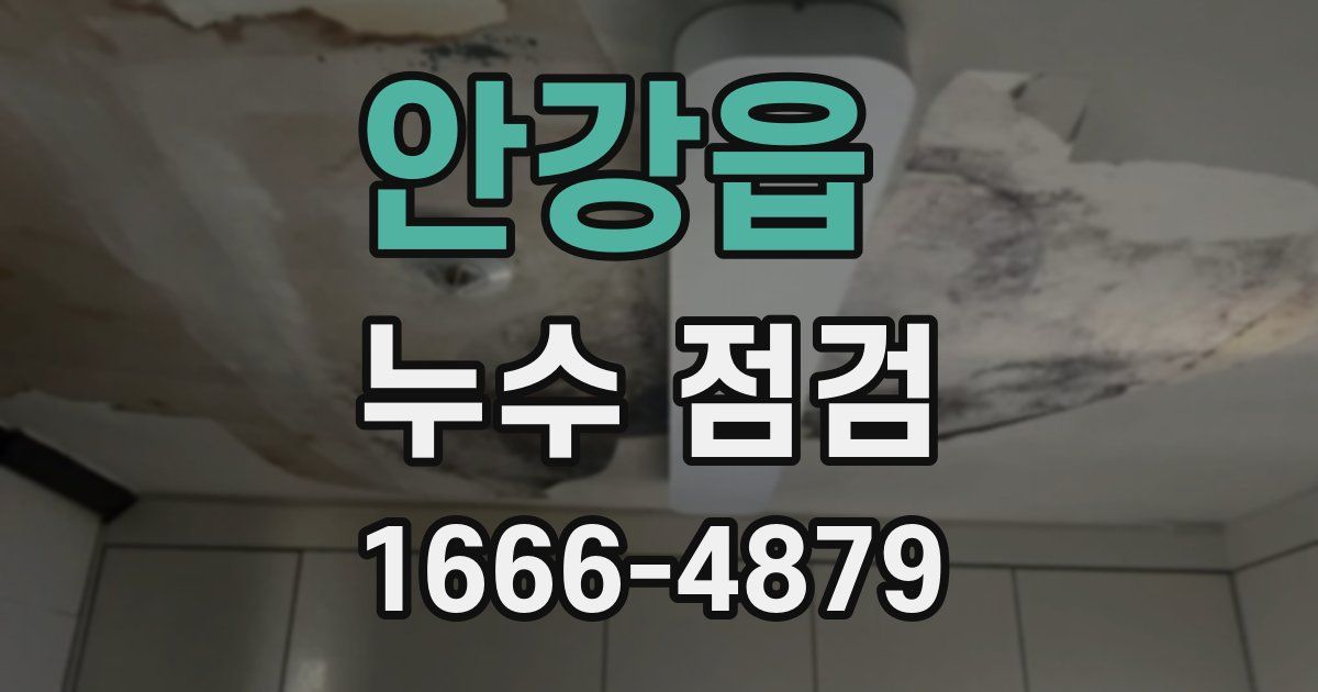 안강읍 누수 점검