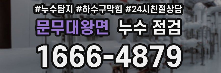 문무대왕면 누수 점검
