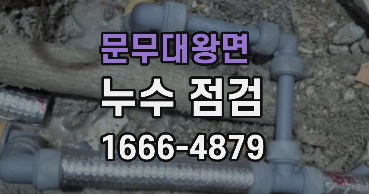 문무대왕면 누수 점검