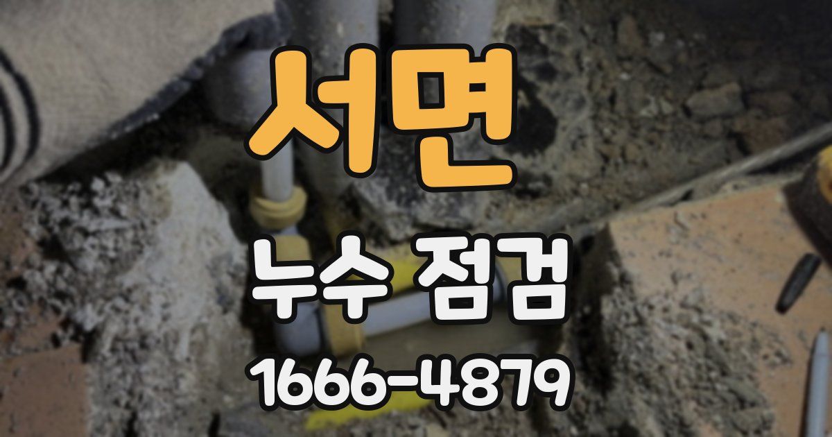 서면 누수 점검