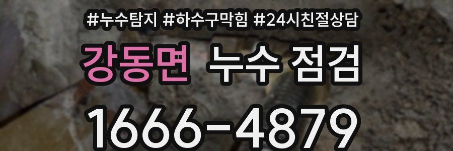 강동면 누수 점검