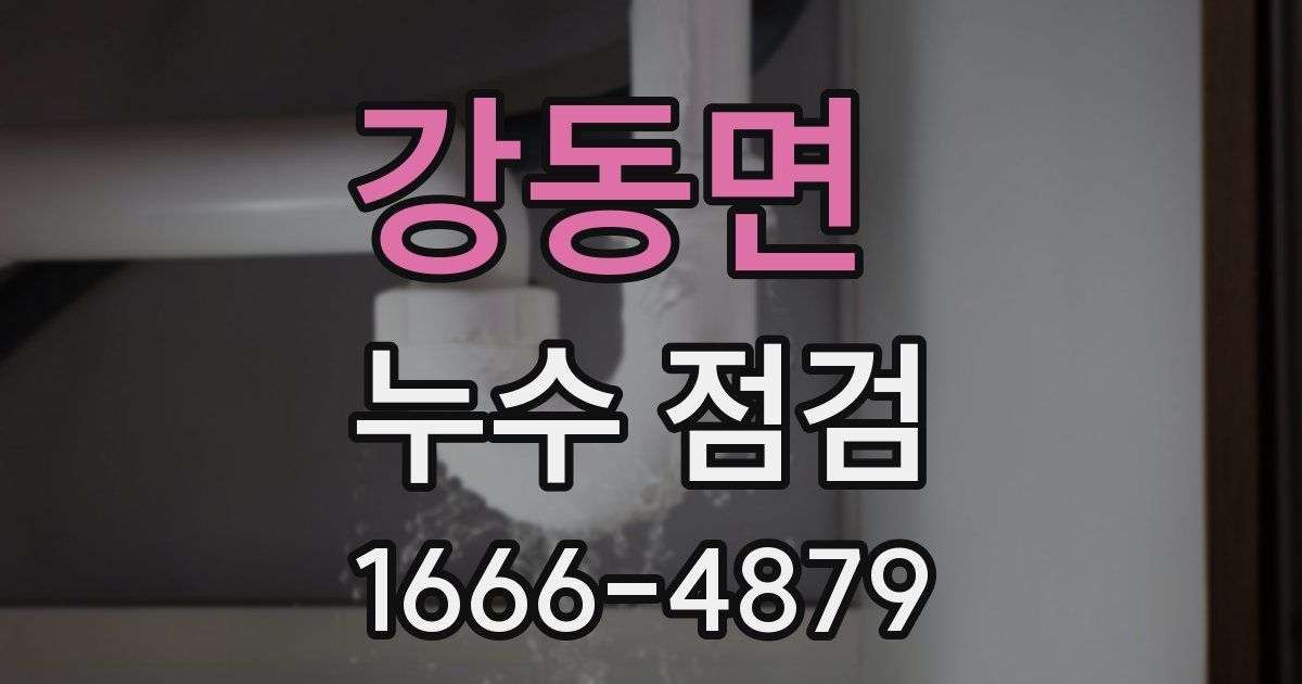 강동면 누수 점검