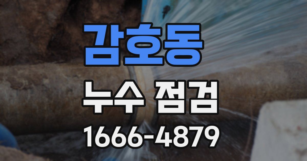 감호동 누수 점검