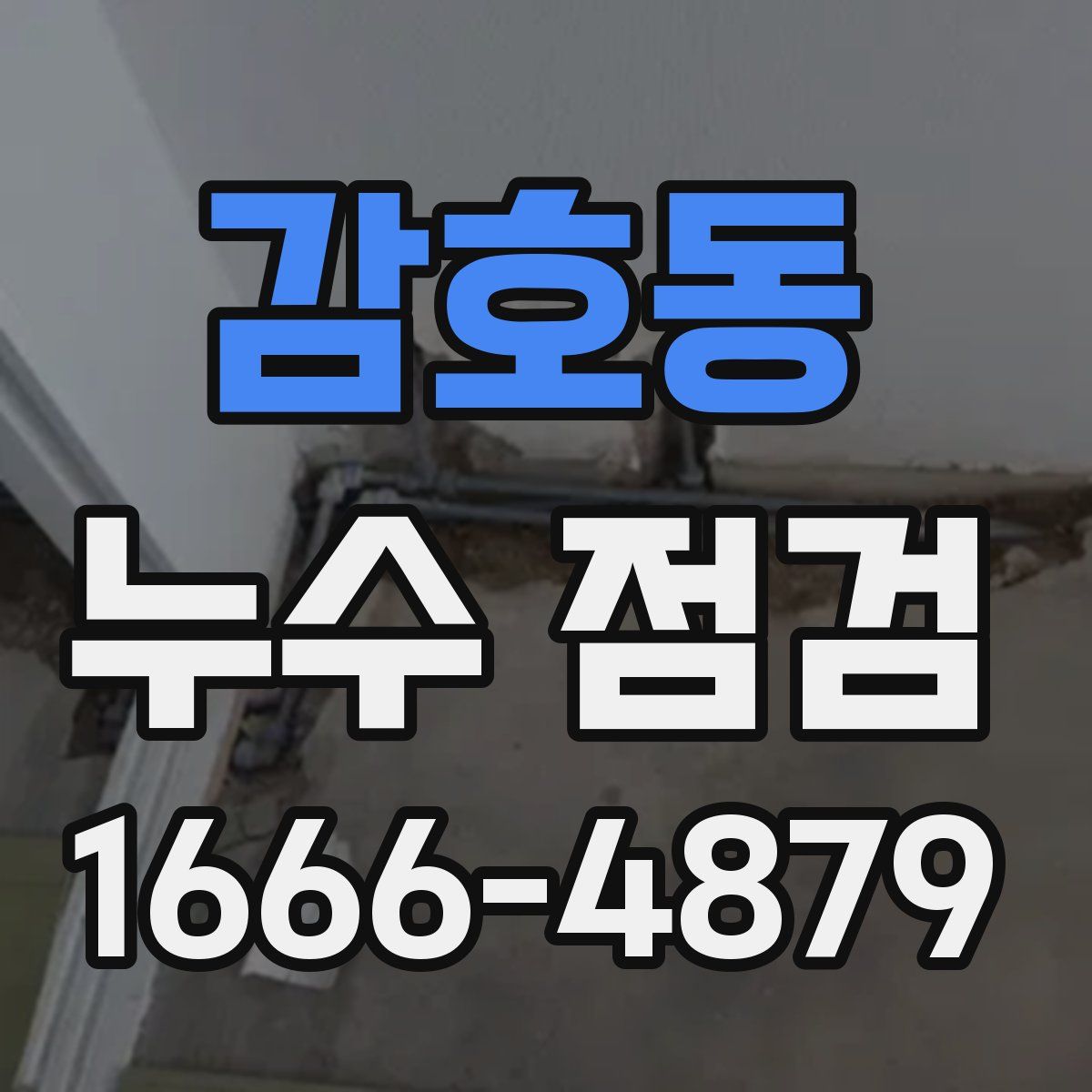 감호동 누수 점검